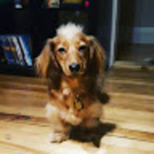 Meet your Posher, Michele